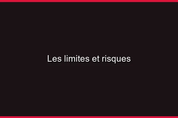 Les limites et risques