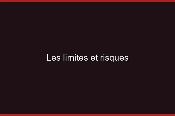Les limites et risques