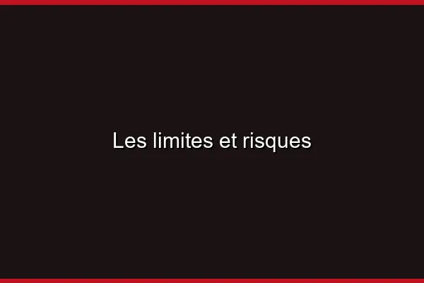 Les limites et risques